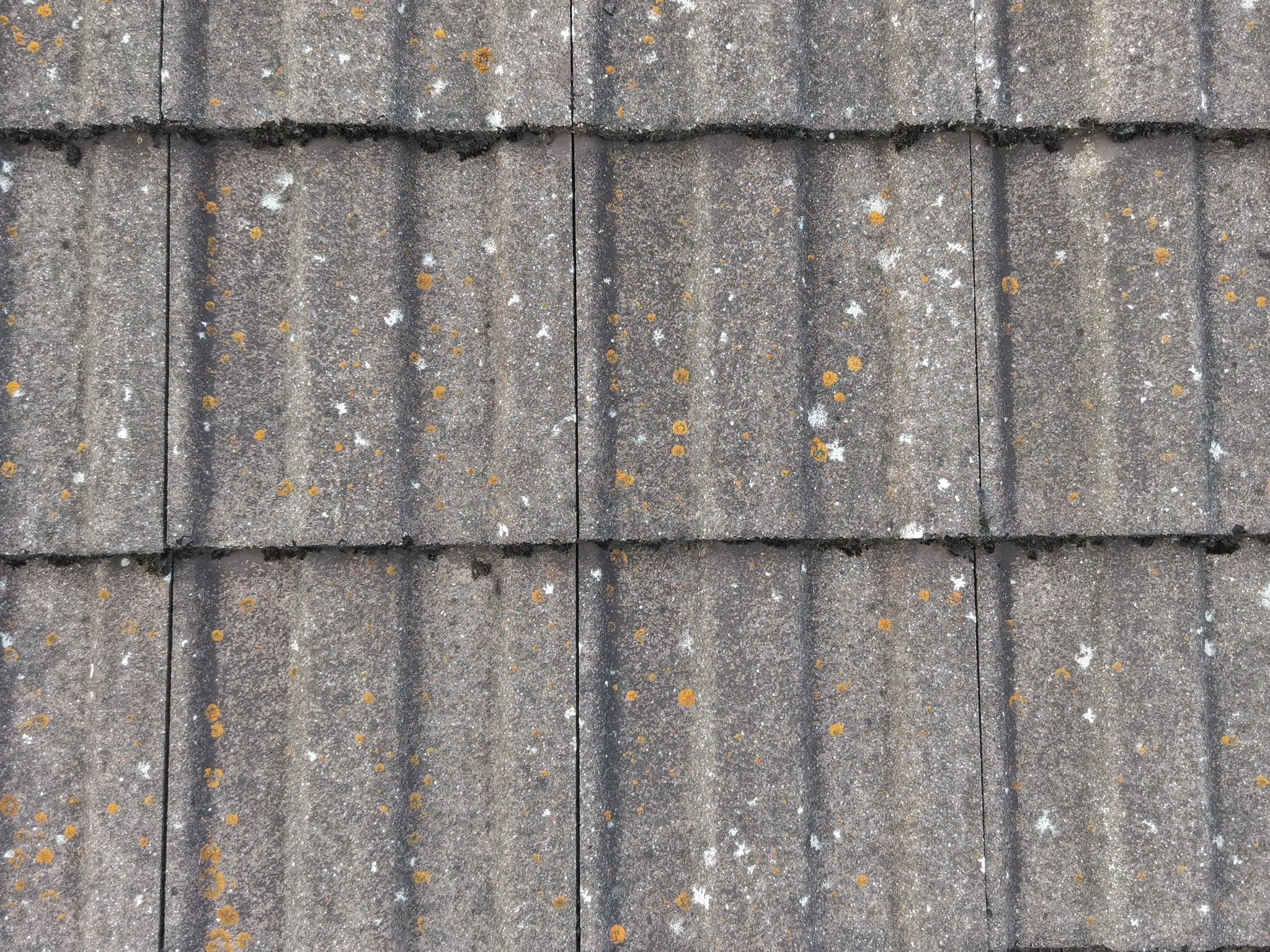 Close detail of the surface and edges of concrete roof tiles